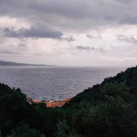 Kaminaki Seaview Apartments Katávolos 外观 照片