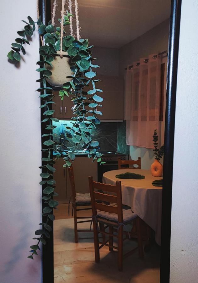 Kaminaki Seaview Apartments Katávolos 外观 照片